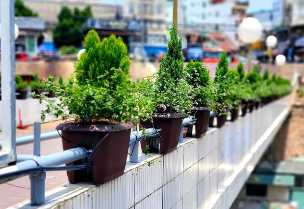 Đoạn lan can cầu Hồng Kông - từng là điểm check-in nổi tiếng hút giới trẻ được lắp khung sắt bảo vệ và đặt chậu hoa trang trí và bị xem là phá khung hình.