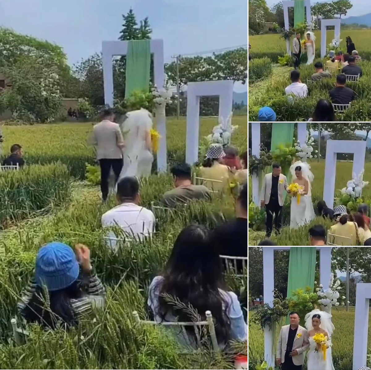 Mới đây, dân mạng chia sẻ hình ảnh về một đám cưới đặc biệt. Theo đó, không gian tổ chức tiệc cưới ở ngay ngoài ruộng lúa. Bữa tiệc khá nhỏ và ít khách mời, theo như hình ảnh có thể thấy quy mô không hề lớn.