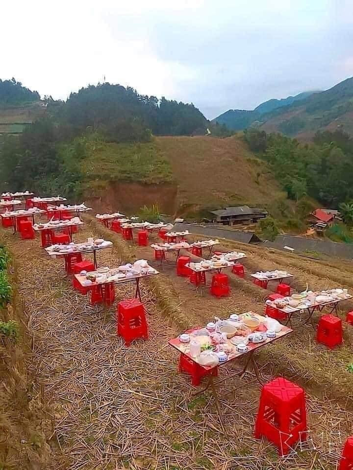 Nhiều dân mạng đã tỏ ra cực kì thích thú trước hình ảnh đám cưới độc đáo và lạ mắt.