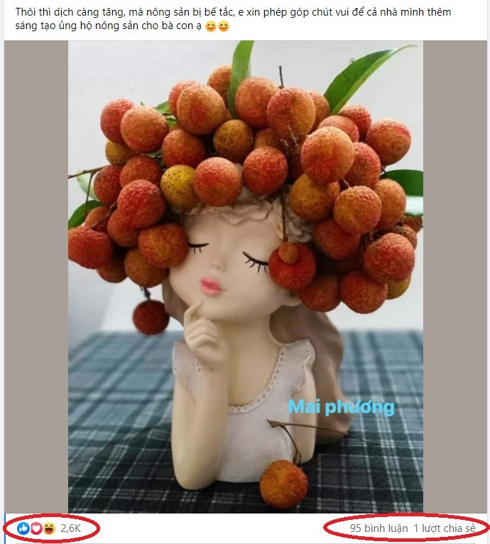 Nhiều chị em phụ nữ khéo léo hơn lại sử dụng từng chùm vải để cắm bình trang trí. Ảnh: Mai Phương