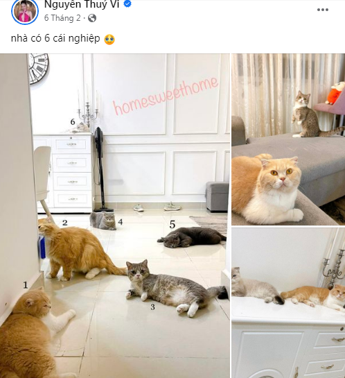 Tuy nhiên thời gian gần đây, hot girl Thúy Vi dường như đã ở ẩn trên MXH, cuộc sống của hotgirl Cà Mau có nhiều thay đổi.