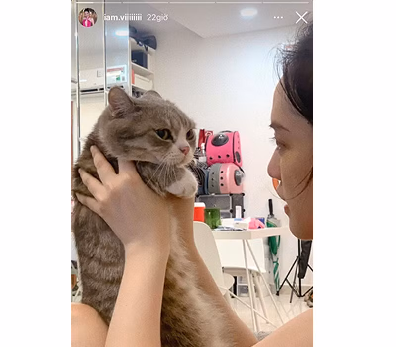 Thi thoảng Thúy Vi chia sẻ khoảnh khắc tập luyện đổ mồ hôi, hay chơi với thú cưng, lộ hình ảnh hiếm hoi khoe cận dung nhan.