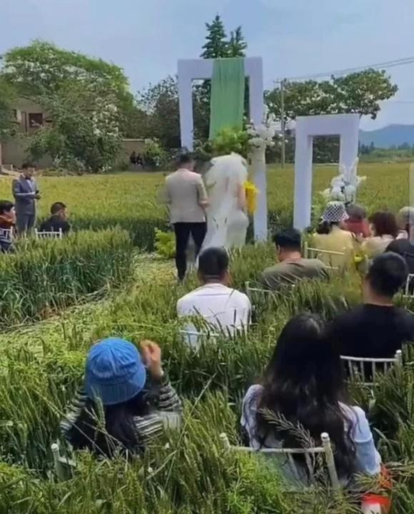 Khi chứng kiến những hình ảnh về đám cưới này, nhiều người không khỏi "ngứa" thay cho các quan khách có mặt trong đám cưới.