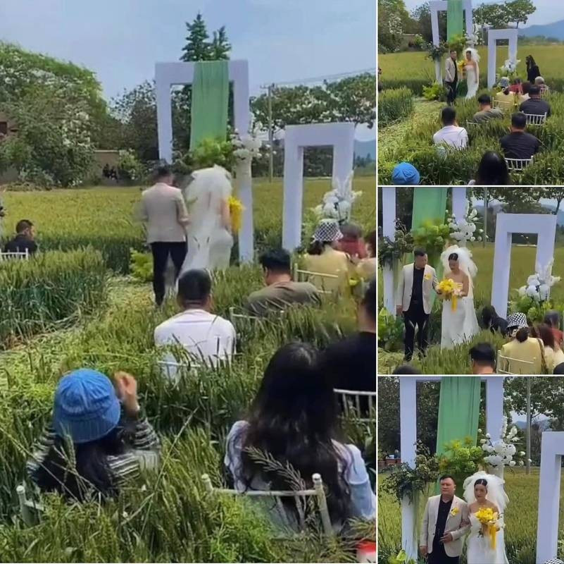 Tông màu trắng - xanh được chọn cho đám cưới này càng khiến khung cảnh trở nên u ám hơn.