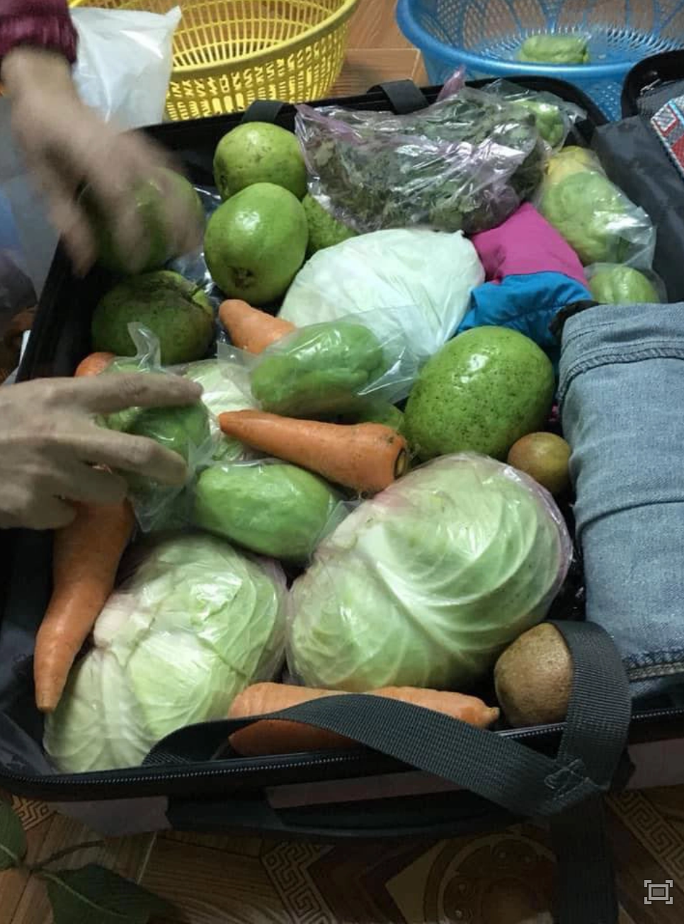 Chắc hẳn là quá nhiều đồ rồi nên bạn sinh viên này mới phải để thực phẩm chung với quần áo.