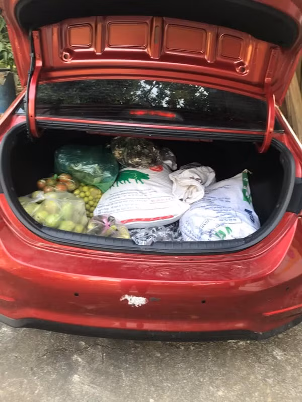 Trong đó toàn là những món đồ được bố mẹ gửi gắm cho con cáo trong ngày chuẩn bị lên đường về lại thành phố sau kỳ nghỉ lễ.