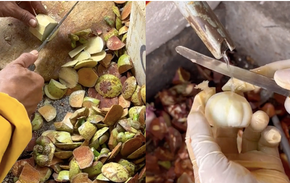 Ngoài món trà mãng cầu, gỏi gà với măng cụt xanh cũng là món làm mưa làm gió trên cộng đồng mạng. Ảnh: @nhungfruits123