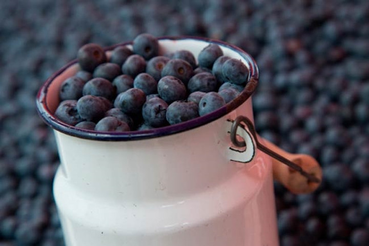 Việt quất: Việt quất chứa anthocyanin và các chất chống oxy hóa mạnh giúp loại bỏ các độc tố.