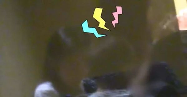 Dựa vào những hành vi của hai cô cậu nhóc này, có thể nhìn ra mối quan hệ giữa hai đứa trẻ này rất tốt và vô cùng thân thuộc. Thậm chí, có người còn đưa ra giả thuyết: “Lẽ nào đây là đứa con thứ hai bí ẩn của Triệu Vy?” Sở dĩ có sự nghi ngờ đó là vì 6 năm trước đó, Triệu Vy từng khiến dư luận đặt nghi vấn cô mang thai và khoảng thời gian này lại trùng khớp với số tuổi của bé trai kia.