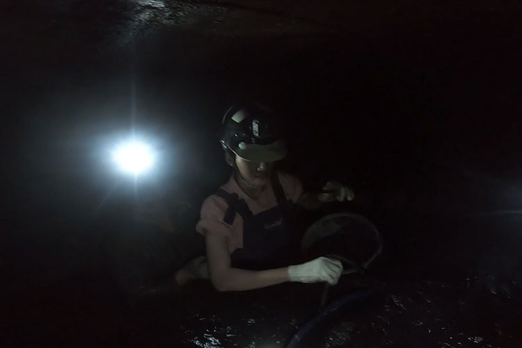 Hình ảnh gây bất ngờ của thí sinh Miss World Việt Nam với dự án nhân ái "Những chiến binh thầm lặng".