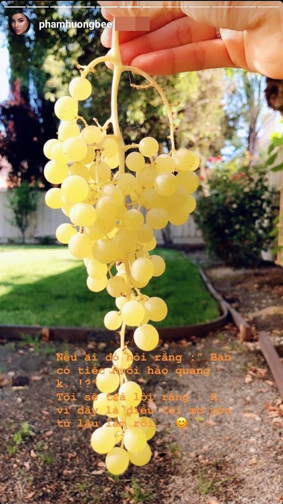 Pham Huong gay soc khi tuyen bo: 