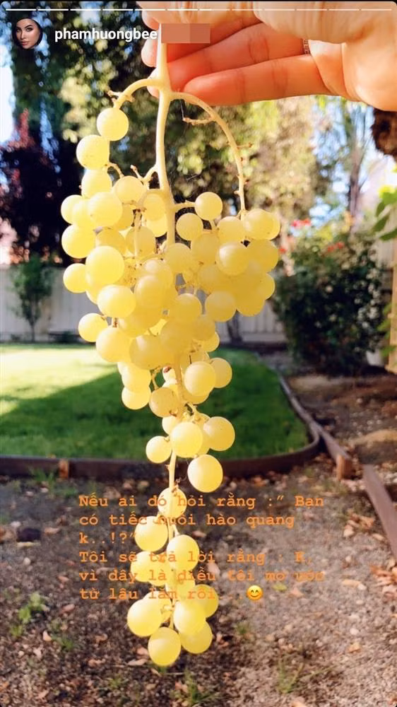 Pham Huong gay soc khi tuyen bo: 