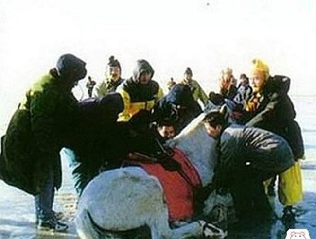 Cảnh qua dòng sông băng, chú Bạch Long Mã bất hợp tác khiến cả đoàn phim phải vỗ về.