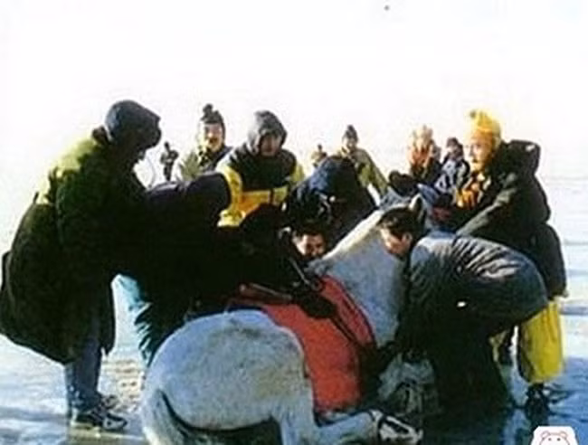 Cảnh qua dòng sông băng, chú Bạch Long Mã bất hợp tác khiến cả đoàn phim phải vỗ về.