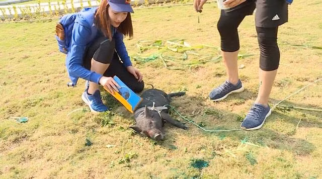 Cuoc dua ky thu vua len song, Do My Linh da bi che kem duyen