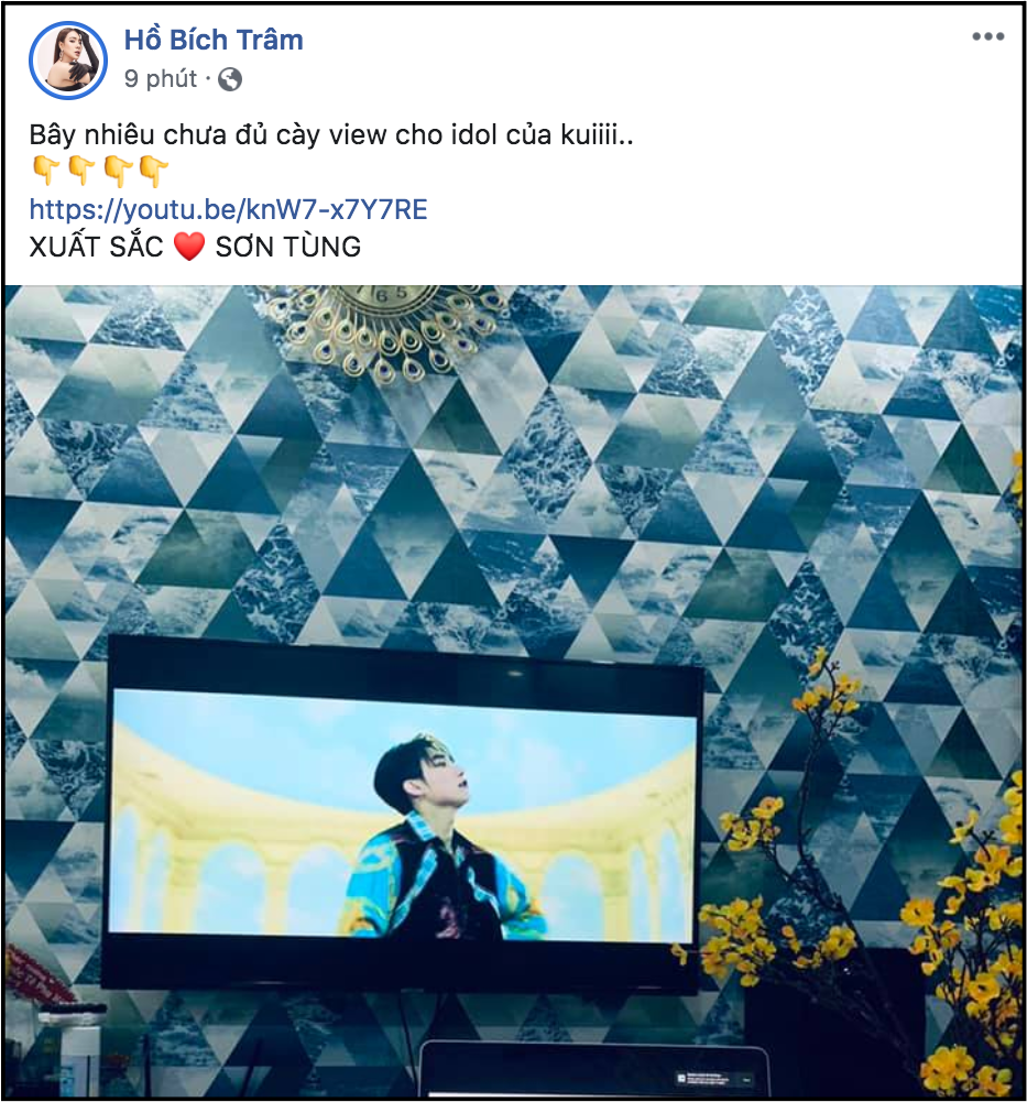 Diễn viên Hồ Bích Trâm cho biết cô là fan hâm mộ của Sơn Tùng và cô sẽ cày view cho thần tượng.