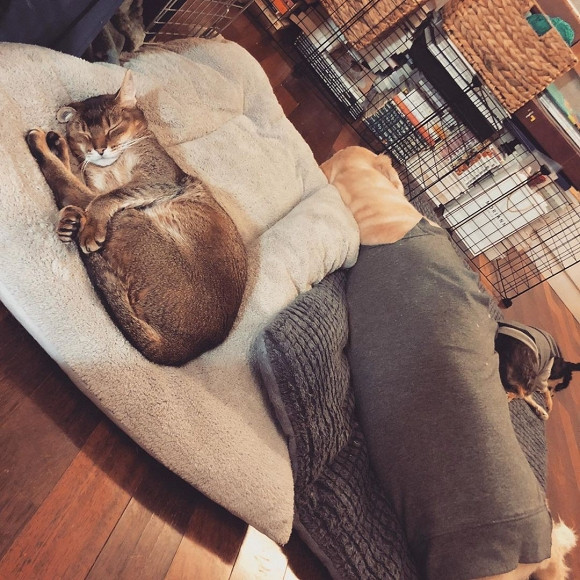 Soc voi ly do Goo Hye Sun khong ly di nua du chong te bac-Hinh-4