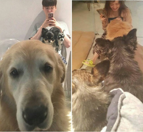 Soc voi ly do Goo Hye Sun khong ly di nua du chong te bac-Hinh-6