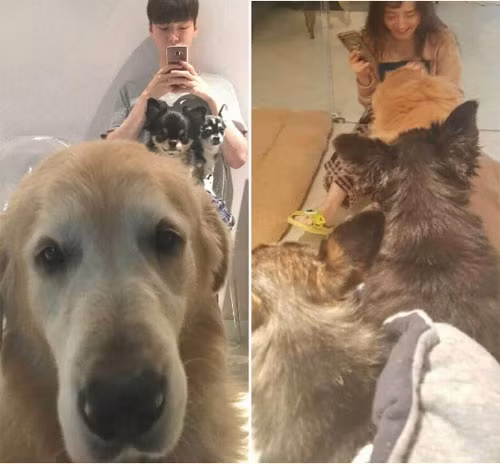 Soc voi ly do Goo Hye Sun khong ly di nua du chong te bac-Hinh-6