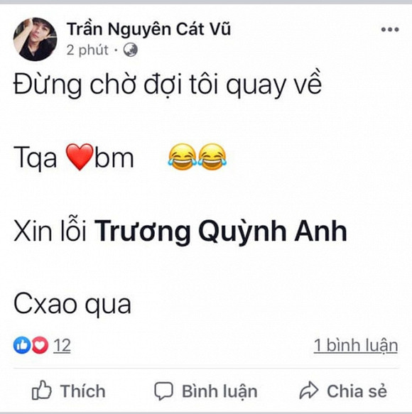 Tim tha nhe status ve Truong Quynh Anh luc 1 gio sang, fan hoang mang-Hinh-2