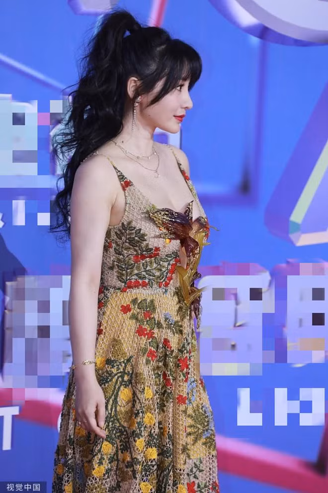 Diễn viên Liễu Nham xuất thân là người mẫu. Cô gây chú ý nhờ hình ảnh gợi cảm, được truyền thông Trung Quốc gọi là "siêu vòng một". Những năm gần đây, cô chuyển hướng làm MC, diễn viên. Ngoài hoạt động nghệ thuật, cô còn được biết đến là nhà đầu tư chứng khoán có tiếng. Người đẹp sở hữu 46,2 triệu cổ phiếu của công ty Enlight Media từ tháng 8/2014.