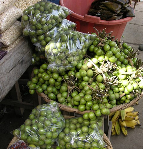 Sam soi ve giong chanh la ruot vang dang gay sot-Hinh-4