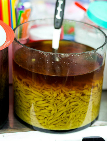 Mon an tu hoa hoe chua benh hieu qua-Hinh-5