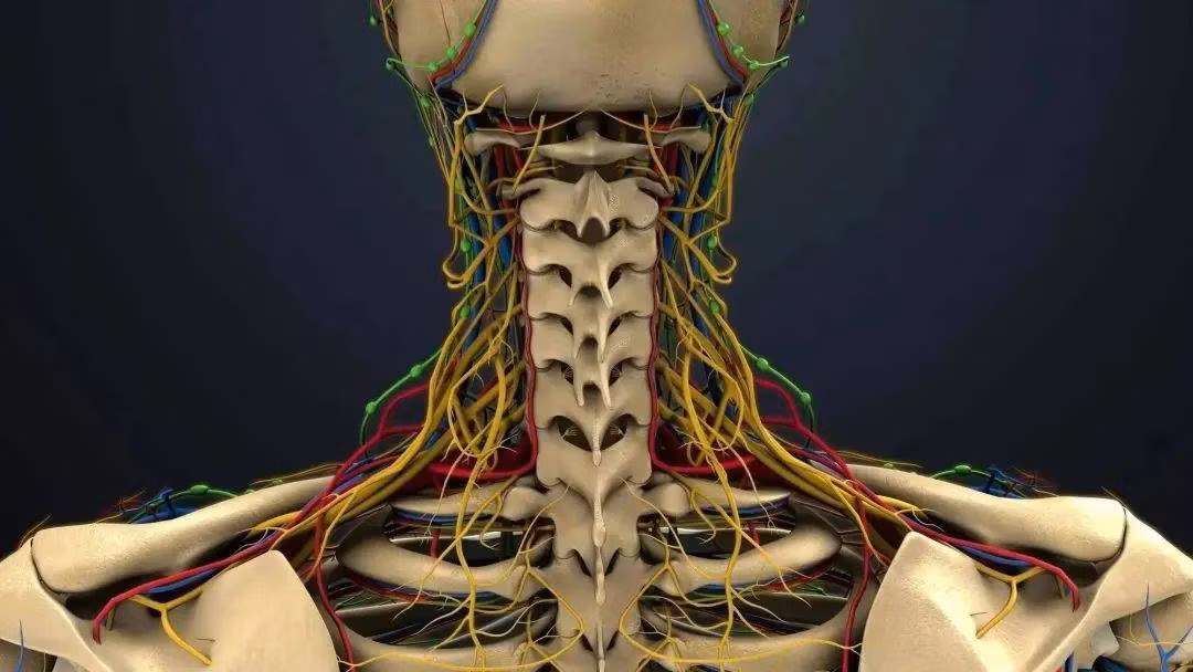 Sau Tet, co gai tre noi ngong, co giat vi dieu khong ngo-Hinh-2