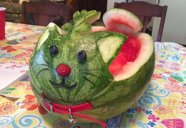 Hiền lành, dễ thương, mèo dưa hấu xứng đáng được khen ngợi khi có mặt trên mâm cỗ ngày Tết.