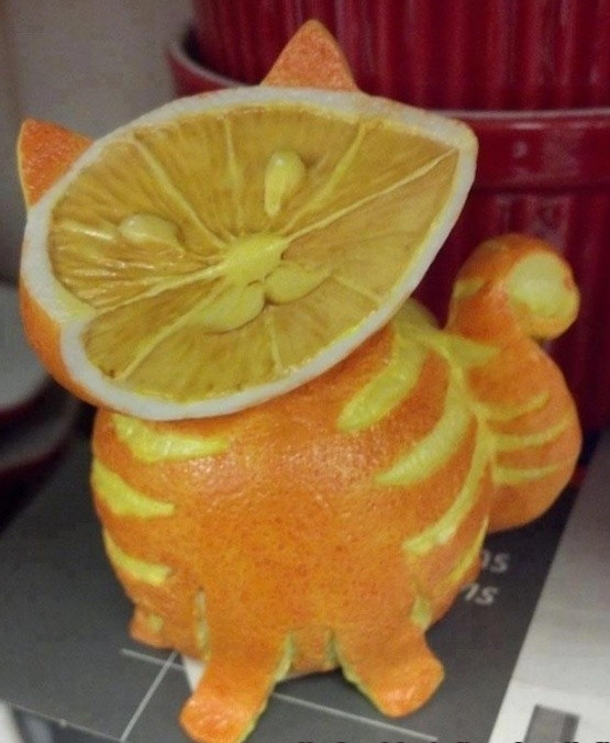 Chú mèo làm từ trái cam vô cùng độc lạ này thực sự có khả năng gây ấn tượng từ cái nhìn đầu tiên.