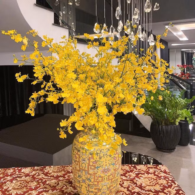 Gia tai do so cua Hoang Thuy Linh va Den Vau-Hinh-11