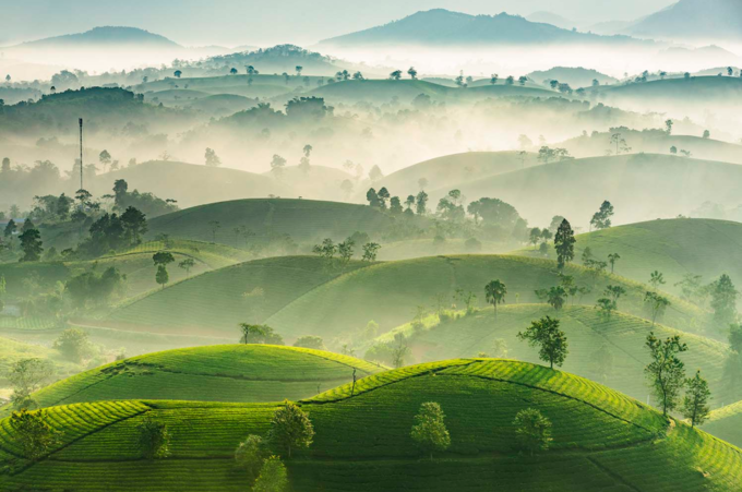  Đồi chè Long Cốc: Cảnh sắc nên thơ của đồi chè Long Cốc nằm ở huyện Tân Sơn, Phú Thọ khiến nơi đây trở thành điểm đến lý tưởng với những người yêu thiên nhiên. Ảnh: Nhiếp ảnh gia Hoàng Cương