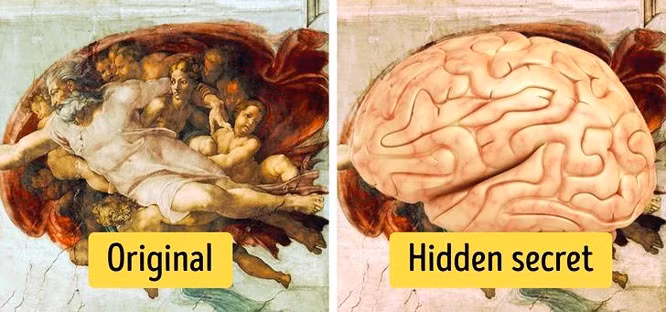  6. Giải phẫu trong bức tranh của Michelangelo: Michelangelo không chỉ là một nghệ sĩ xuất sắc mà còn là một thiên tài về giải phẫu học. Tác phẩm The Creation of Adam của ông đã từng được đem ra tranh luận vì hình dạng chiếc áo choàng rất giống với bộ não con người. Giả thuyết trở nên dễ hiểu khi tác giả Michelangelo không phải là người cuồng tín tại nhà thờ thời bấy giờ, và người ta cho rằng họa sĩ cố tình thể hiện tác phẩm theo hướng đó.
