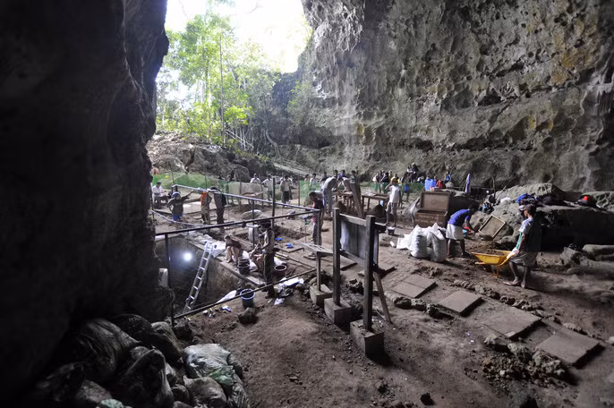 Một nhóm nghiên cứu đa quốc gia vừa công bố các phát hiện đáng kinh ngạc về Homo luzonensis, một loài người hoàn toàn mới và kỳ lạ thuộc chi Người, được ví như một vị tổ tiên bị thất lạc và cách ly khỏi cây gia phả.