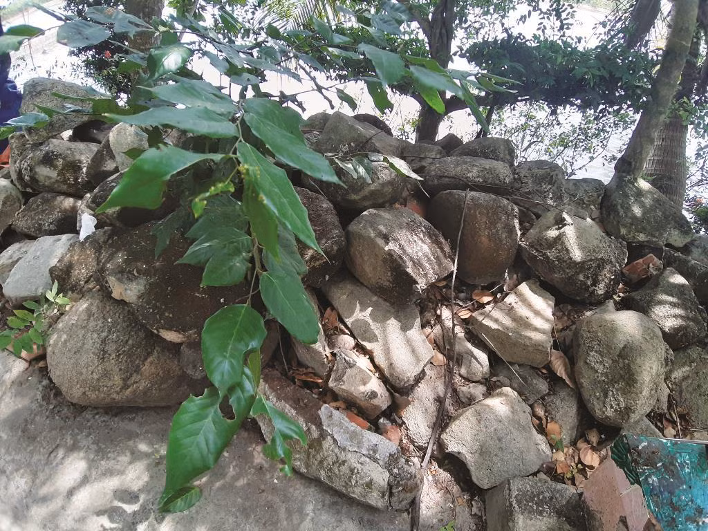 Ly ky chuyen 'san vang' va truyen thuyet da noi o Thoai Son-Hinh-2