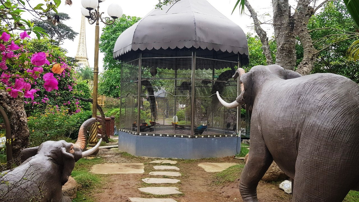 Huyện chỉ đạo các phòng chuyên môn phối hợp với UBND xã Hưng Đạo tổng hợp báo cáo gửi Sở Tài nguyên và Môi trường tỉnh Hải Dương, để báo cáo Tỉnh ủy, UBND tỉnh Hải Dương về vi phạm nêu trên.