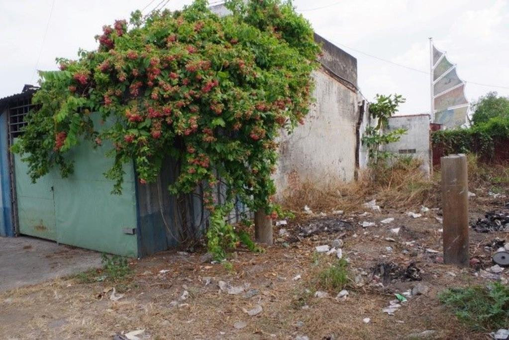 Ly lich bat hao nghi pham sat hai nguoi ban nuoc mia o Dong Nai-Hinh-2