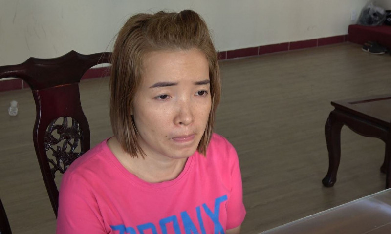 Hoạt động của Công ty Luật Pháp Việt là nhận đòi nợ thuê cho các ngân hàng OCB, Công ty tài chính Mcredit; Shinhan Việt Nam. Trung bình mỗi tháng, công ty đòi nợ được 15-20 tỷ đồng và được hưởng 30% tổng số tiền đòi được. 