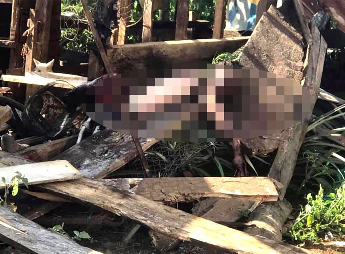 Cưa bom lấy thuốc nổ, một người tử vong: Chiều ngày 27/3/2019, anh Lý Văn T. (39 tuổi; thôn 10, xã Tân Thanh, huyện Lâm Hà, Lâm Đồng) sau khi nhặt được quả bom đã cưa khiến quả bom phát nổ, nạn nhân tử vong tại chỗ.