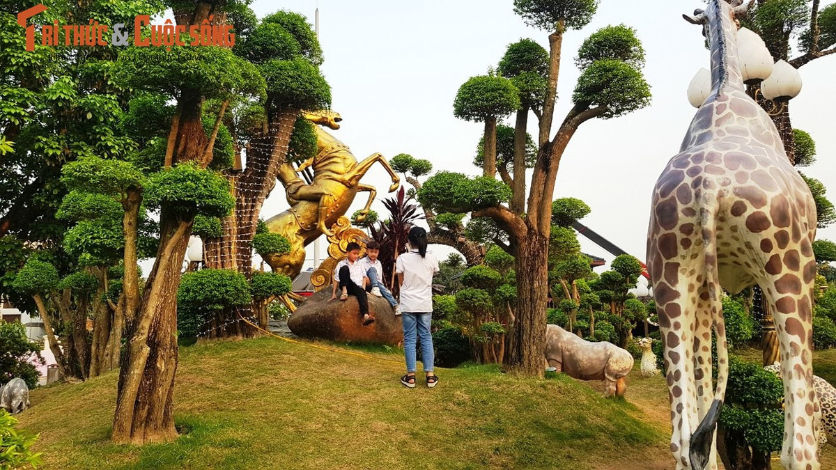 Dai gia buon lon xay cong vien vi pham: Trach nhiem huyen Tu Ky?-Hinh-2