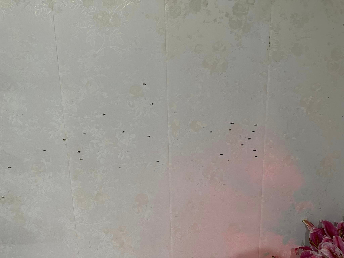 Được biết hiện lãnh đạo Công an TP Hải Dương đã lập tức cử đội nghiệp vụ xác minh và truy tìm các đối tượng. 