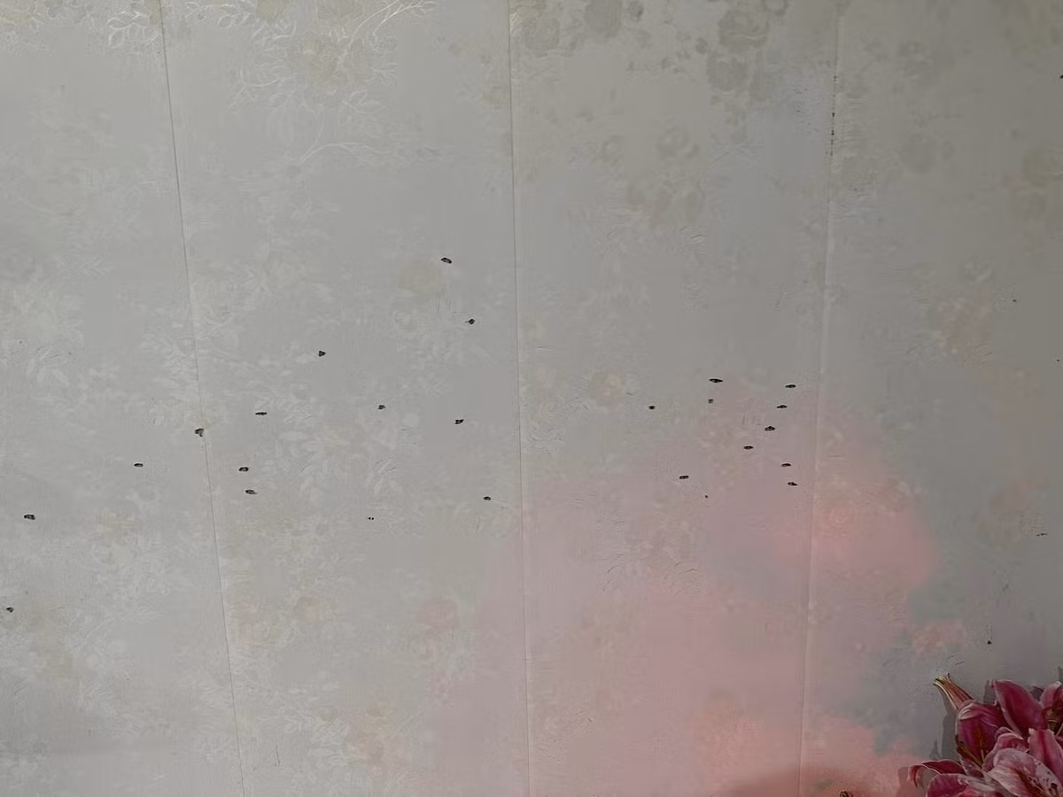 Được biết hiện lãnh đạo Công an TP Hải Dương đã lập tức cử đội nghiệp vụ xác minh và truy tìm các đối tượng. 