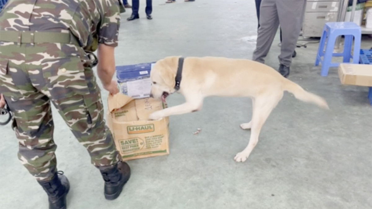 Theo đó, ngày 8/11/2022, Đội Kiểm soát phòng chống ma túy và Chi cục Hải quan chuyển phát nhanh (Cục Hải quan TP HCM) kiểm tra 5 bưu kiện nhập khẩu qua đường chuyển phát nhanh có nghi vấn, phát hiện 4 bưu kiện có chứa ma túy với số lượng lớn. Kiểm tra 2 kiện hàng được vận chuyển từ Đức qua đường bưu chính quốc tế phát hiện trên 5,6kg MDMA được cất giấu trong các gói kẹo. 2 kiện nghi vấn được vận chuyển từ Mỹ về Việt Nam qua dịch vụ chuyển phát nhanh, phát hiện gần 20kg ma túy tổng hợp được cất giấu trong các gói cà phê.