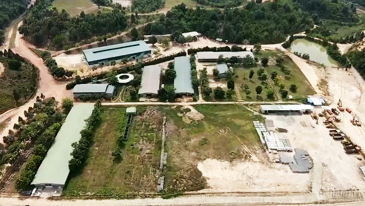 Hồ sơ Cty đua ngựa Thiên Mã - Mađagui xây chui 16 công trình Ho so Cty dua ngua Thien Ma - Madagui xay chui 16 cong trinh