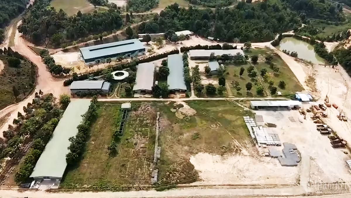 Ho so Cty dua ngua Thien Ma - Madagui xay chui 16 cong trinh