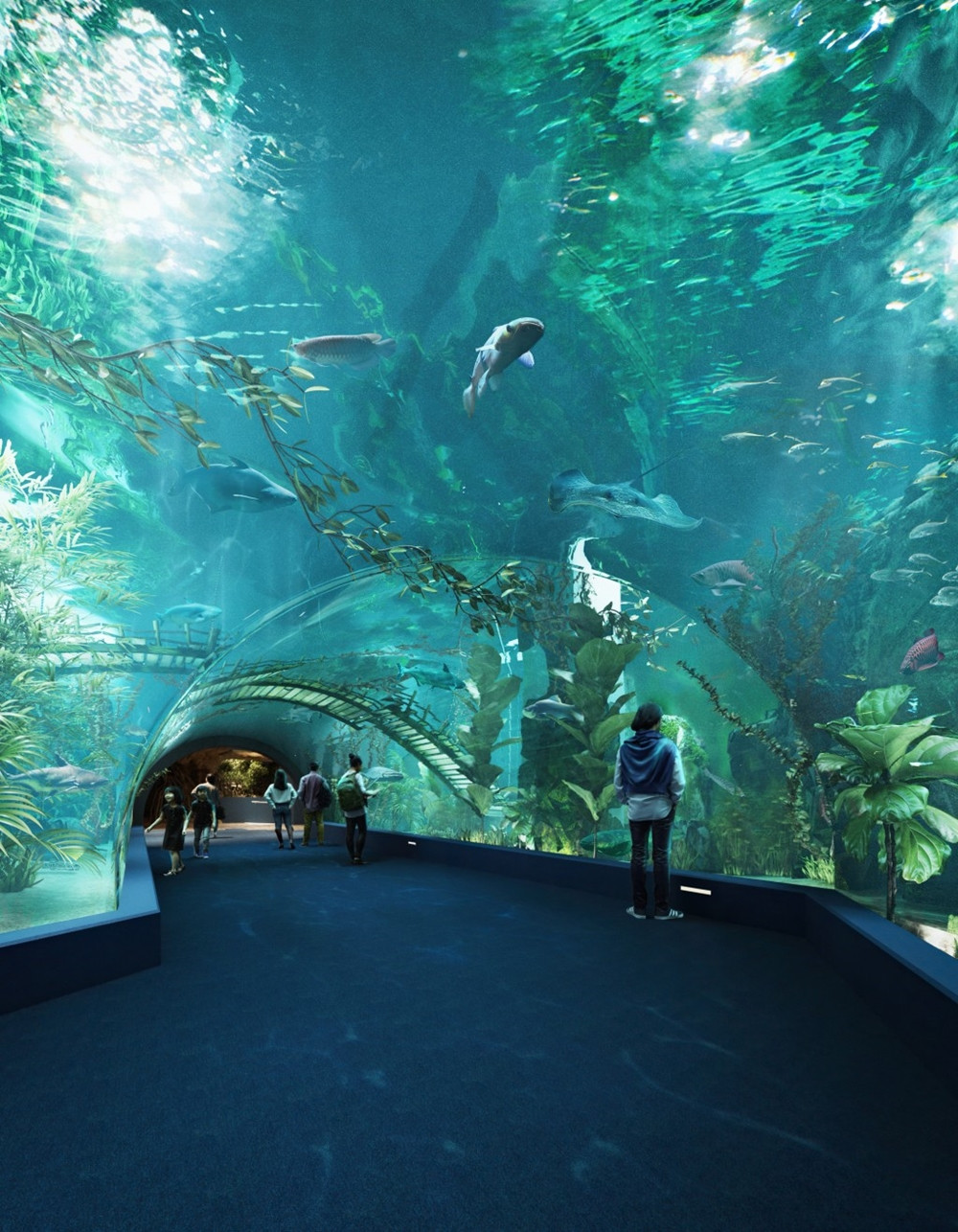 Trong các hạng mục giải trí của Lotte Mall West Lake Hanoi, đáng chú ý nhất là thủy cung Lotte World Aquarium Hanoi - cơ sở nước ngoài đầu tiên của Lotte World Aquarium Hàn Quốc. Ảnh: Tuổi trẻ Thủ đô).