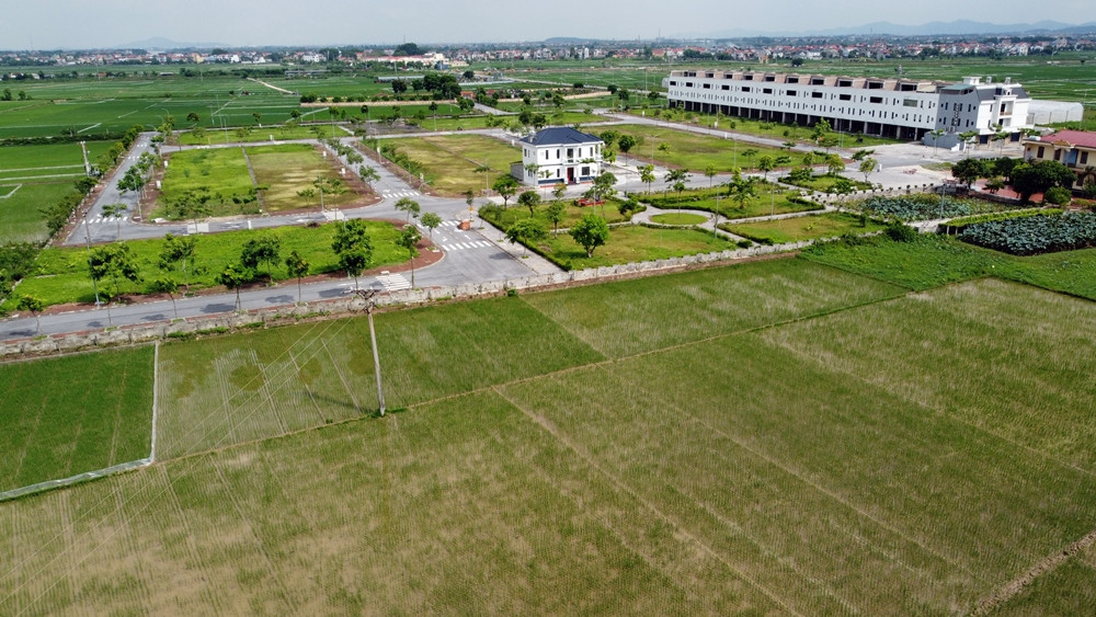 Bac Ninh: Dan to Cong ty Tran Son “ho bien” dat nong nghiep thanh dat o