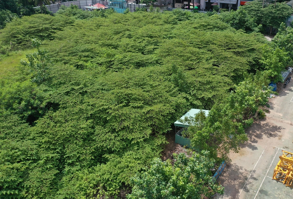 Các yếu tố cần đánh giá là quy mô, tổng mức đầu tư, tính chất, mục tiêu, tiêu chuẩn, quy chuẩn ngành các môn thể thao đề xuất, thời gian thực hiện. (Ảnh: GD&amp;TĐ).