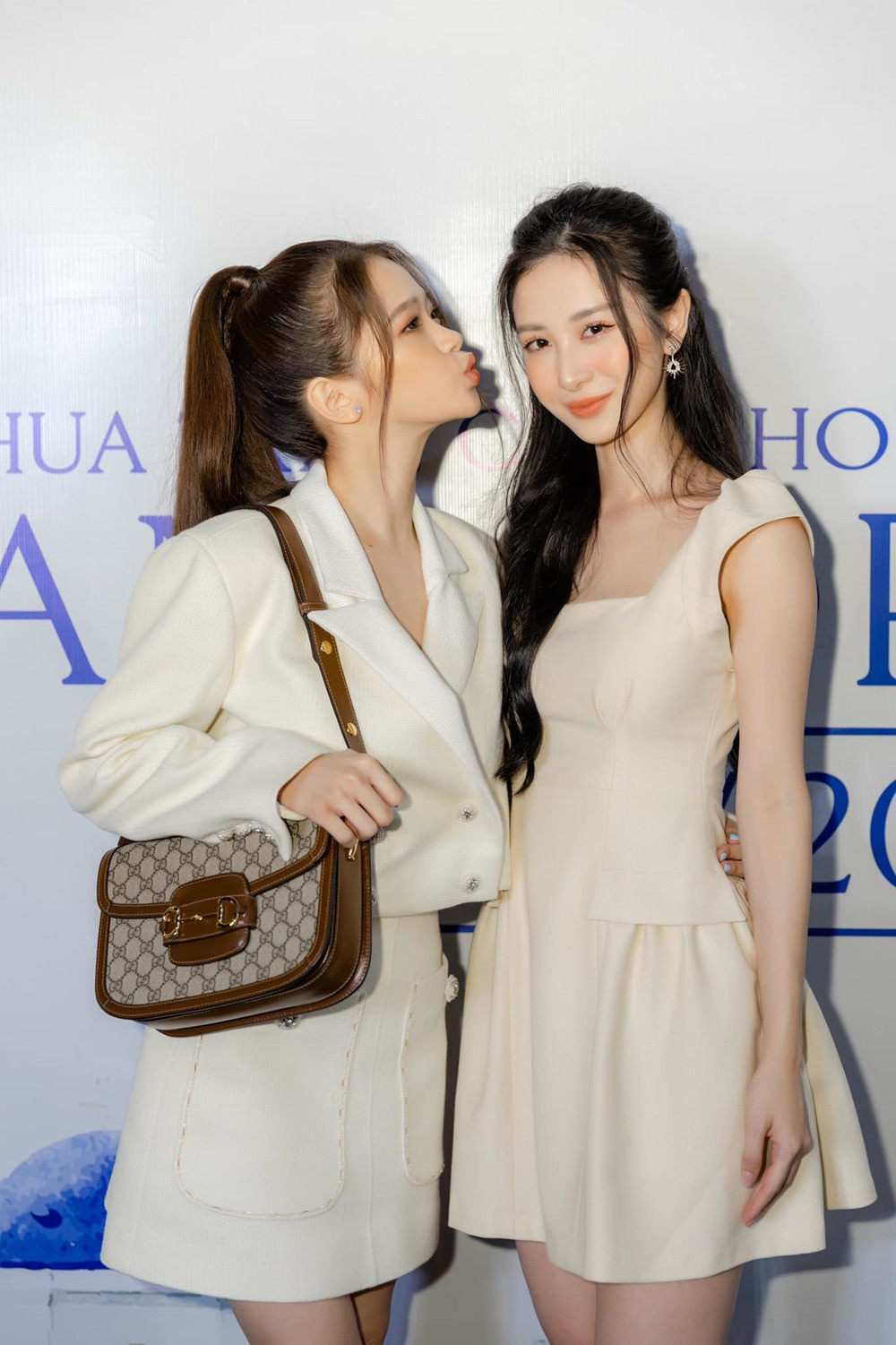 Trong dàn túi hiệu gồm Dior, Gucci, Louis Vuitton, Chanel… có không ít món trong số đó còn có giá lên tới trăm triệu đồng.