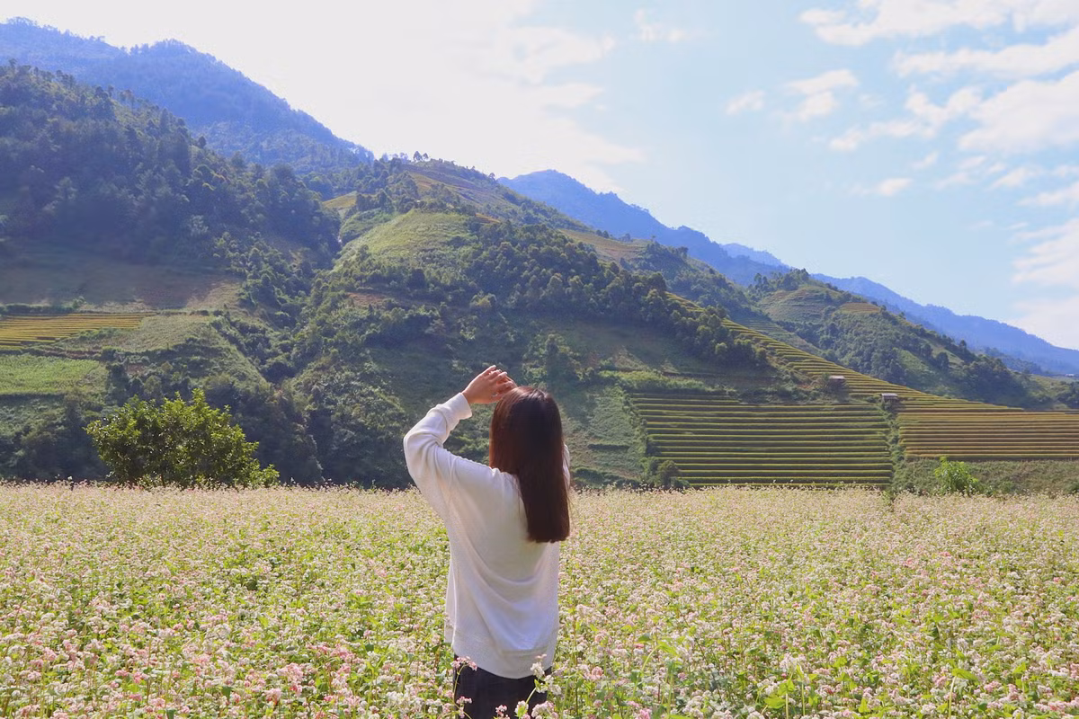 Trong những ngày cuối thu, tìm về Mù Cang Chải bạn sẽ được say đắm với vẻ đẹp thơ mộng, kỳ vĩ của bức tranh thiên nhiên tựa như tuyệt tác nghệ thuật.
